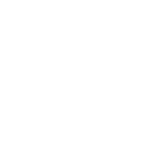 Storeify Logo
